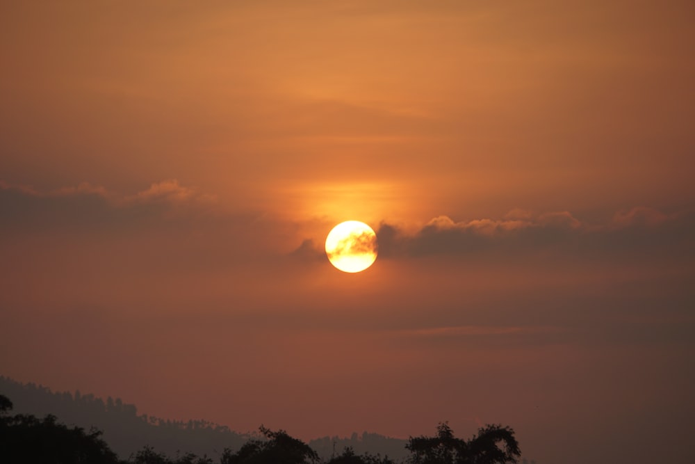 silhueta das árvores durante o pôr do sol