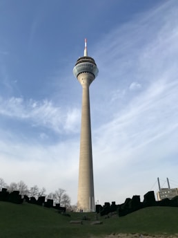 A tall telecommunications tower rises against a clear blue sky, surrounded by a grassy area with scattered trees and foliage. A bridge is visible in the background on the right side.