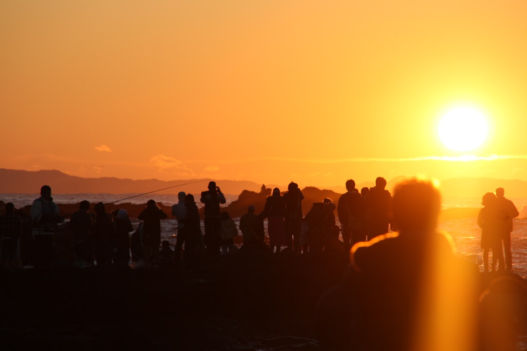 silhouette of people standing on field during sunset