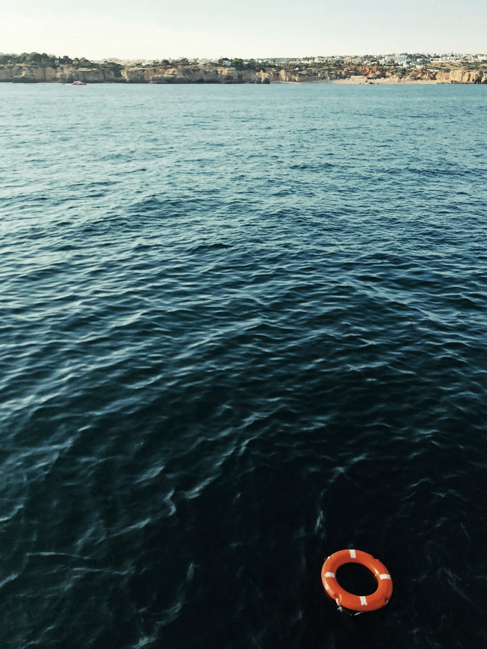 a life preserver floating in the middle of a body of water