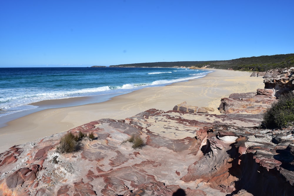 a sandy beach next to the ocean under a blue sky