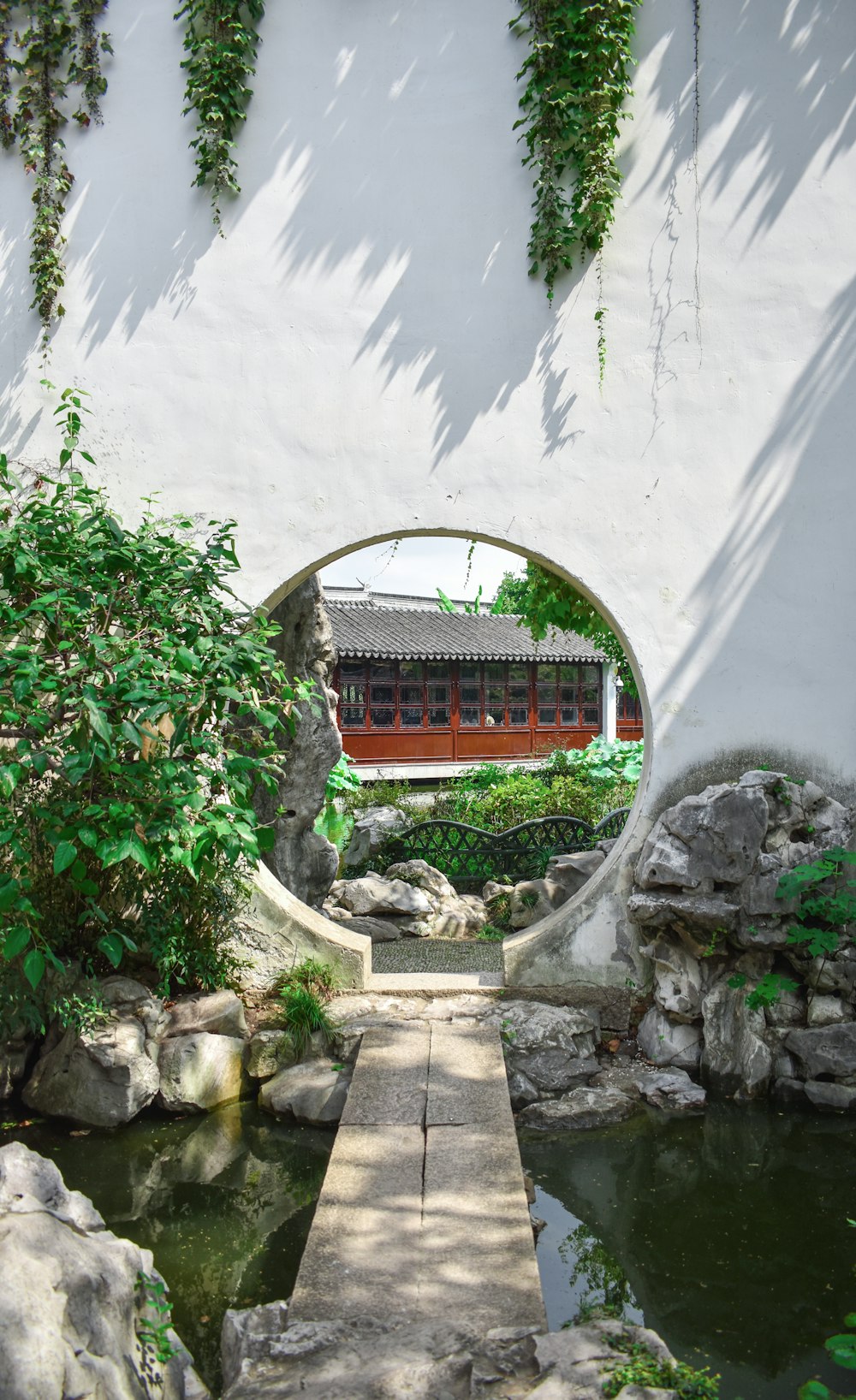 green plants on gray concrete wall