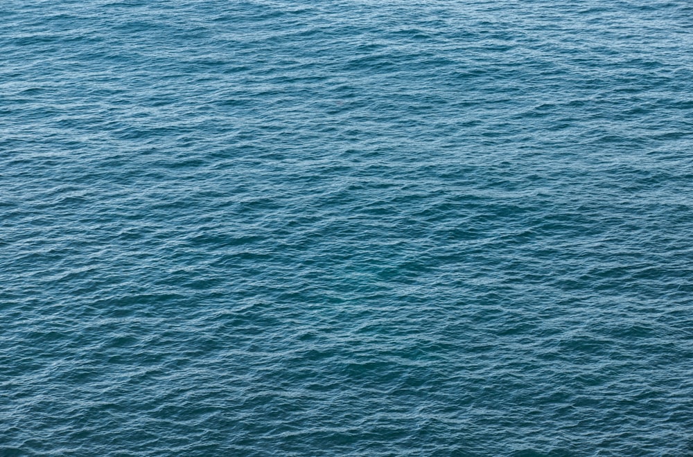 blue body of water during daytime