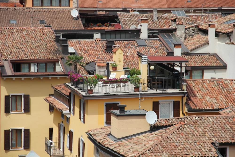 brown and white concrete houses during daytime