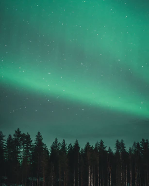 A serene night sky illuminated by swirling northern lights over a calm, dark landscape.