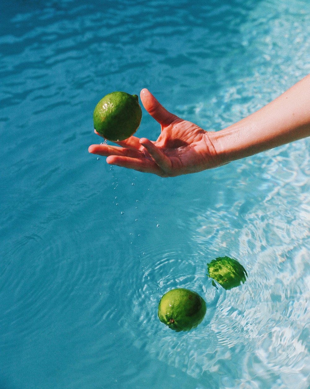 person holding green round fruit