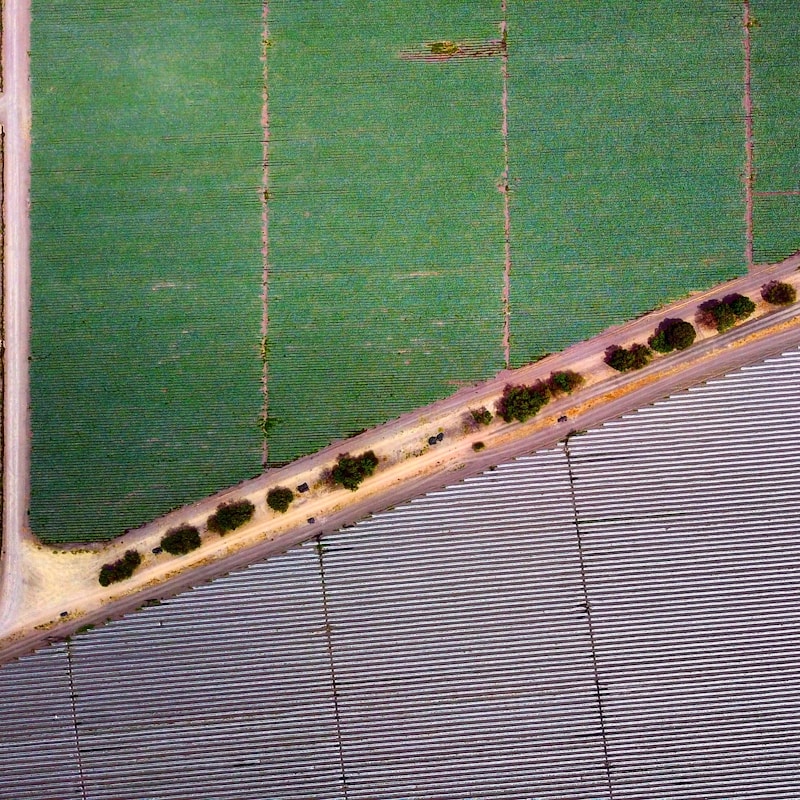 480-Acre Row Crop Farm - Iowa Corn Belt