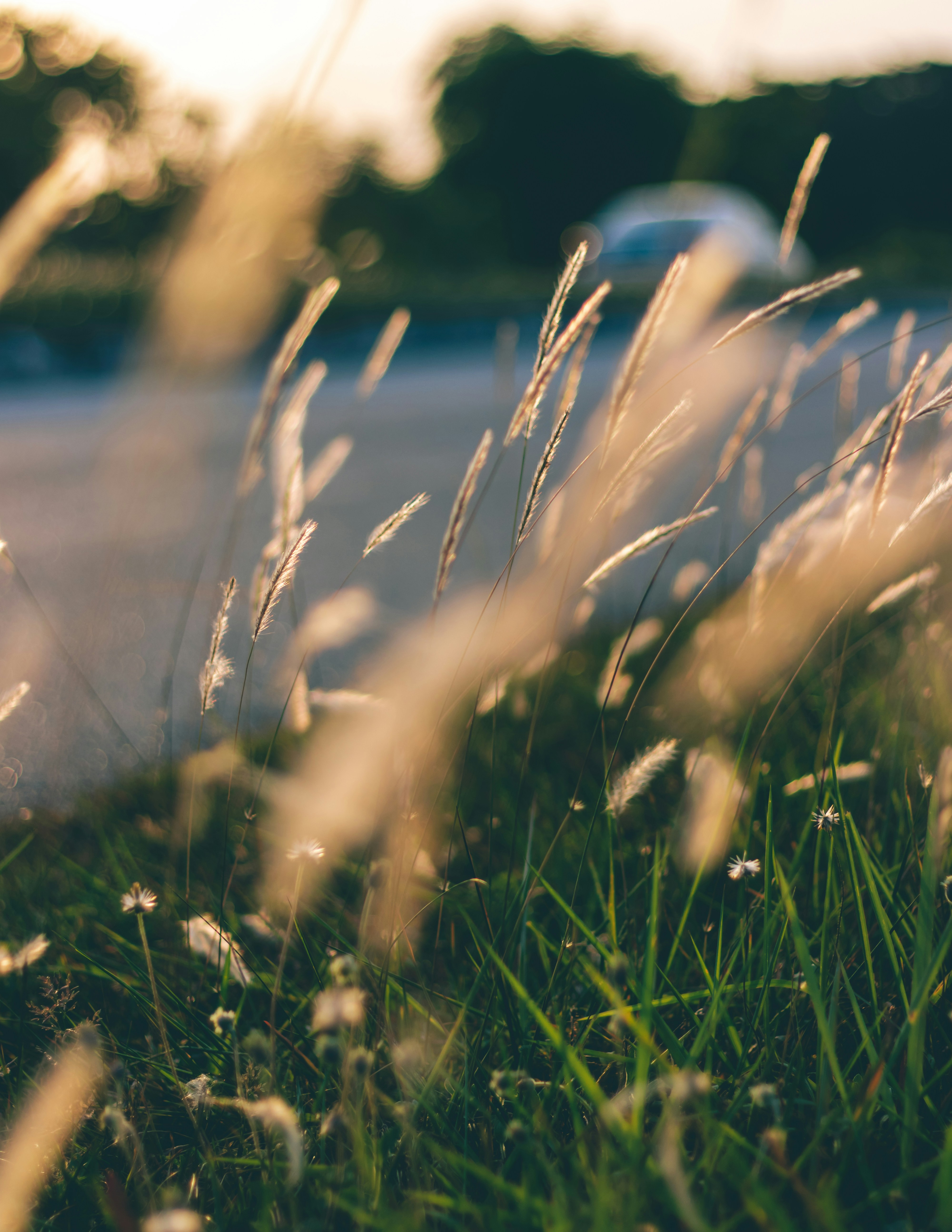 Photo by waiheng_tobi