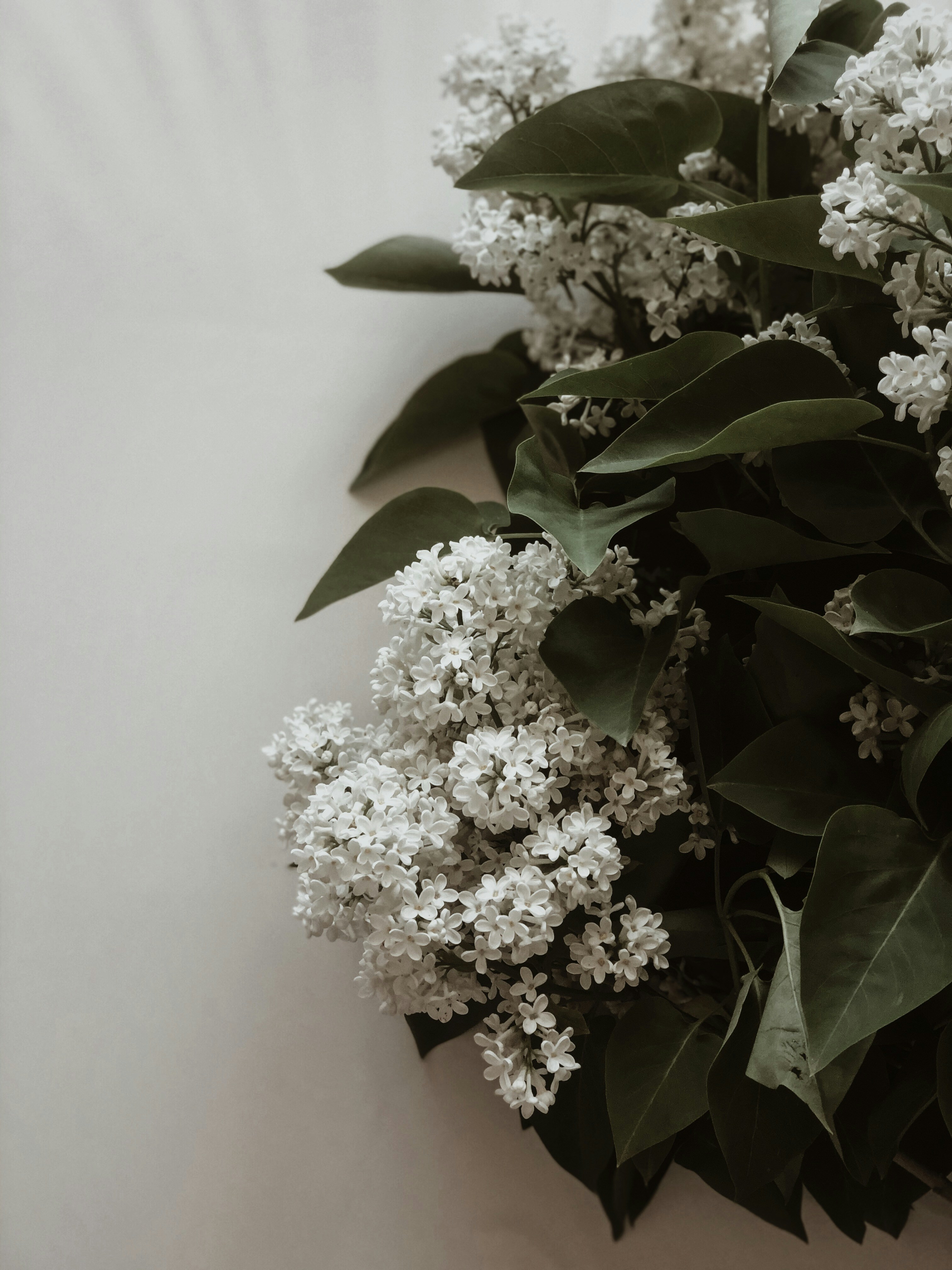 Photo by sarine_photographer