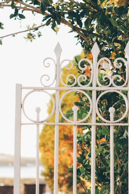 Sunlit backyard with black wrought iron fence and golden autumn leaves.