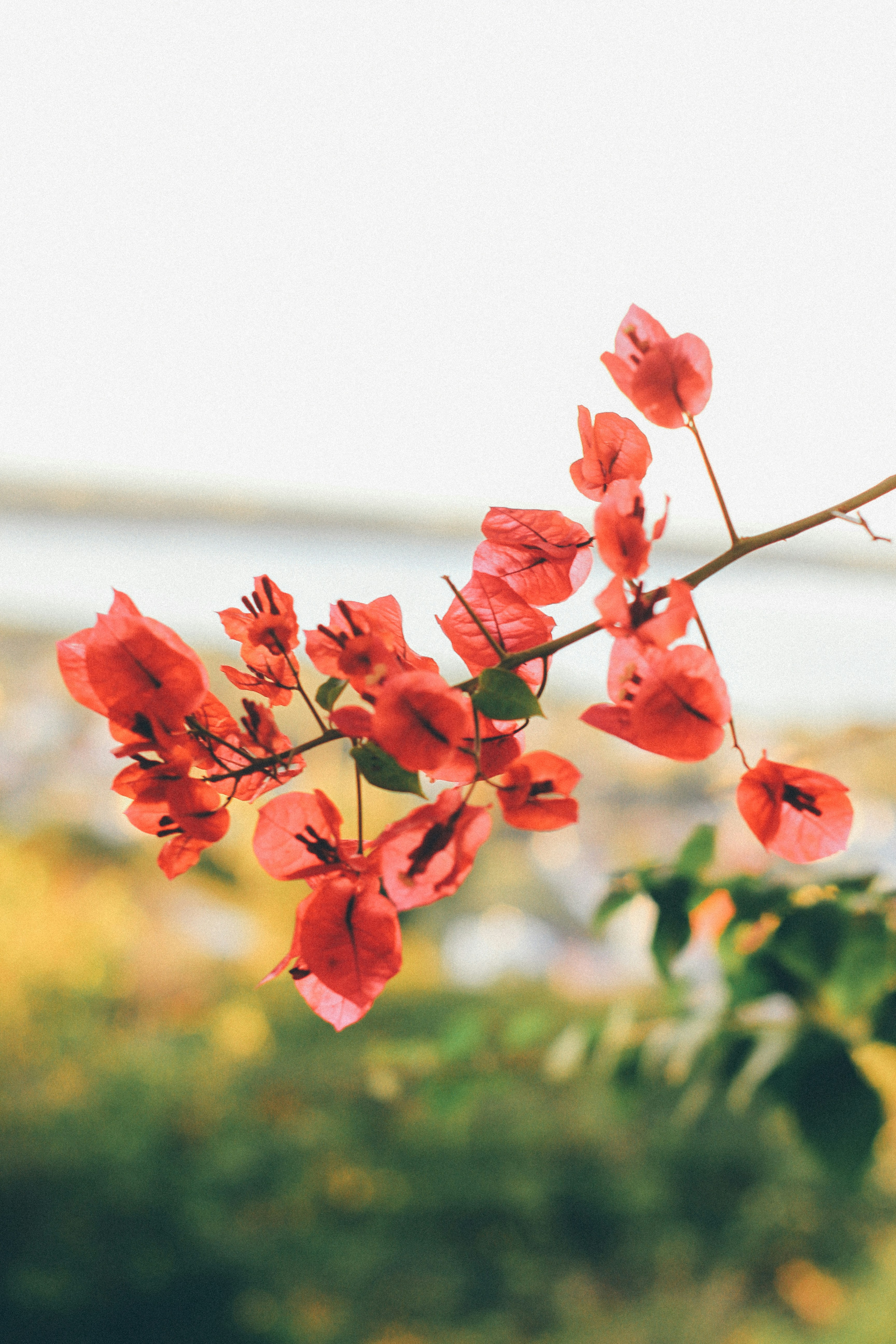 Photo by youwwwill