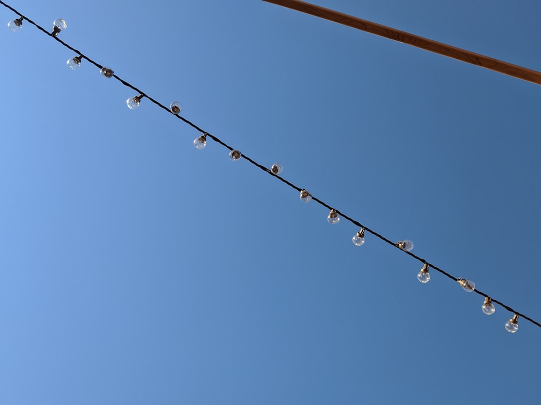 black string lights on brown electric wire under blue sky during daytime