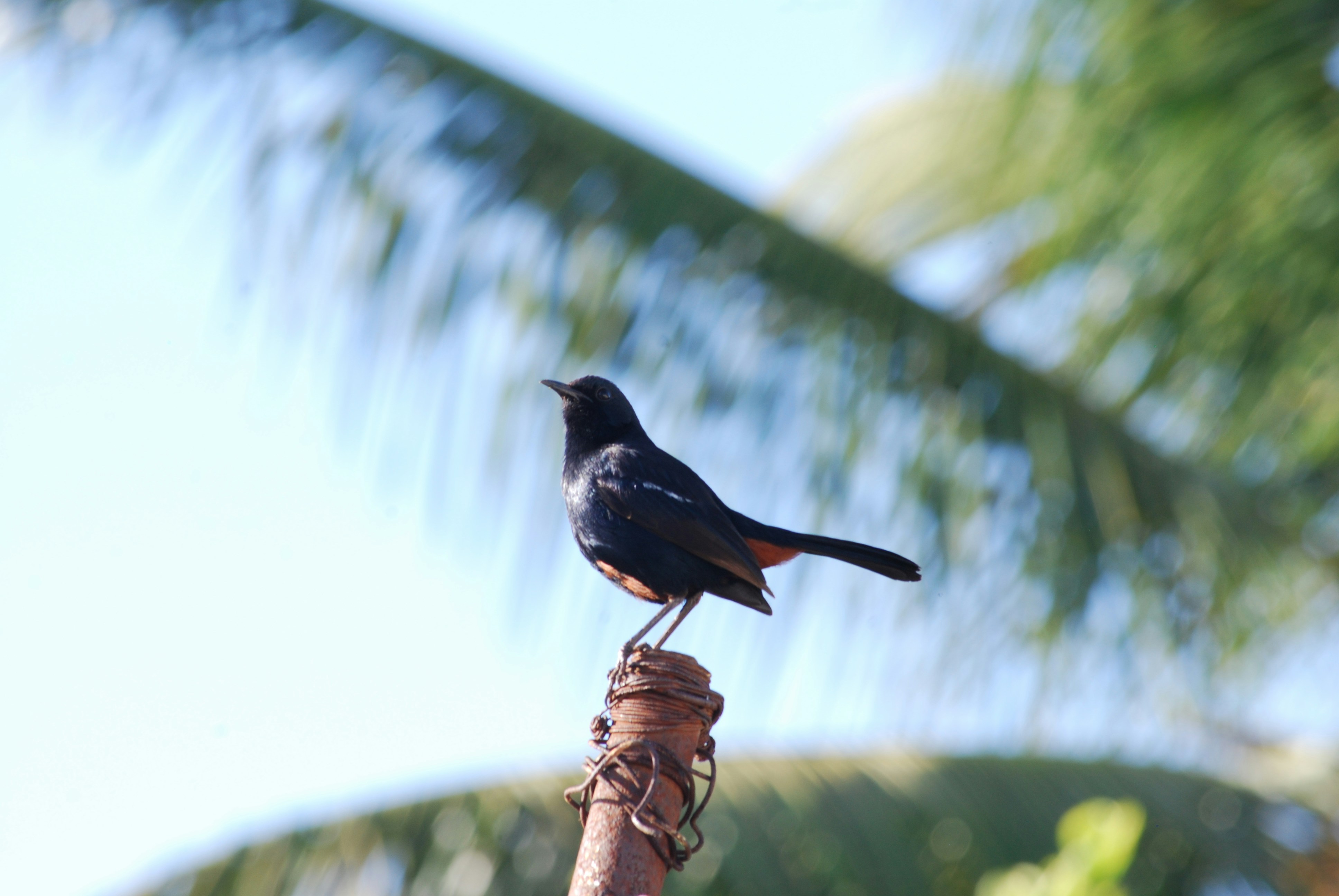 Photo by gnanaprakash