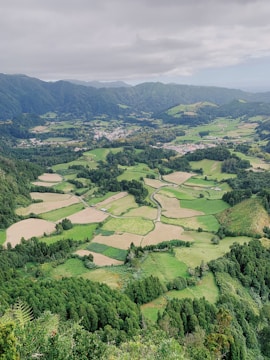 A cozy farming game landscape with lush fields and animated animals.