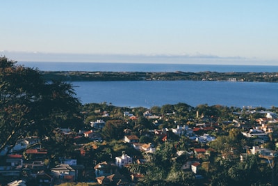 A scenic view overlooks a residential area with various houses spread out among trees. In the background, a large body of water stretches into the horizon under a clear blue sky. The foreground features lush greenery, and a tree is visible on the left side.