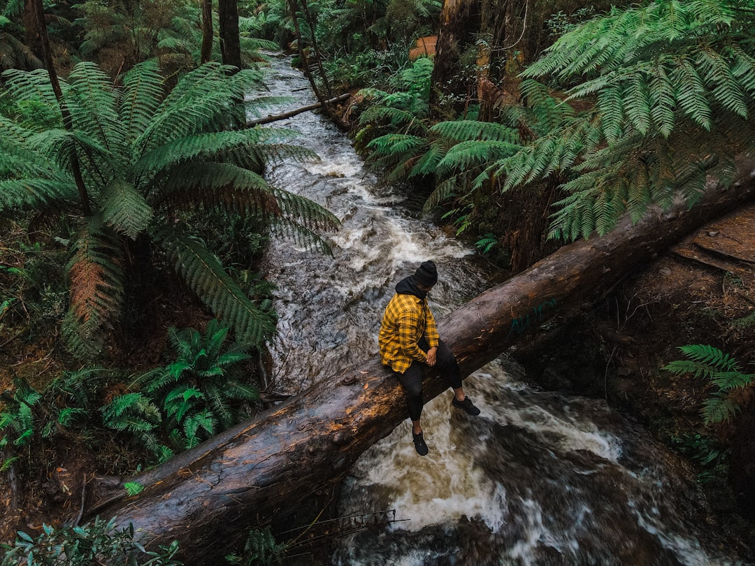 travelers stories about Jungle in Redwood Forest, Australia
