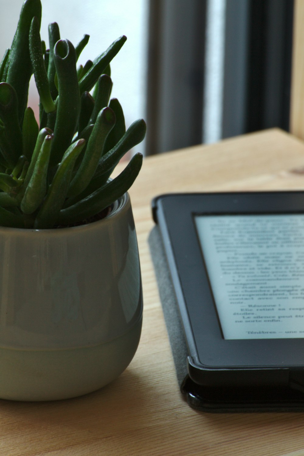 Lector de libros electrónicos negro junto a la planta de cactus verde