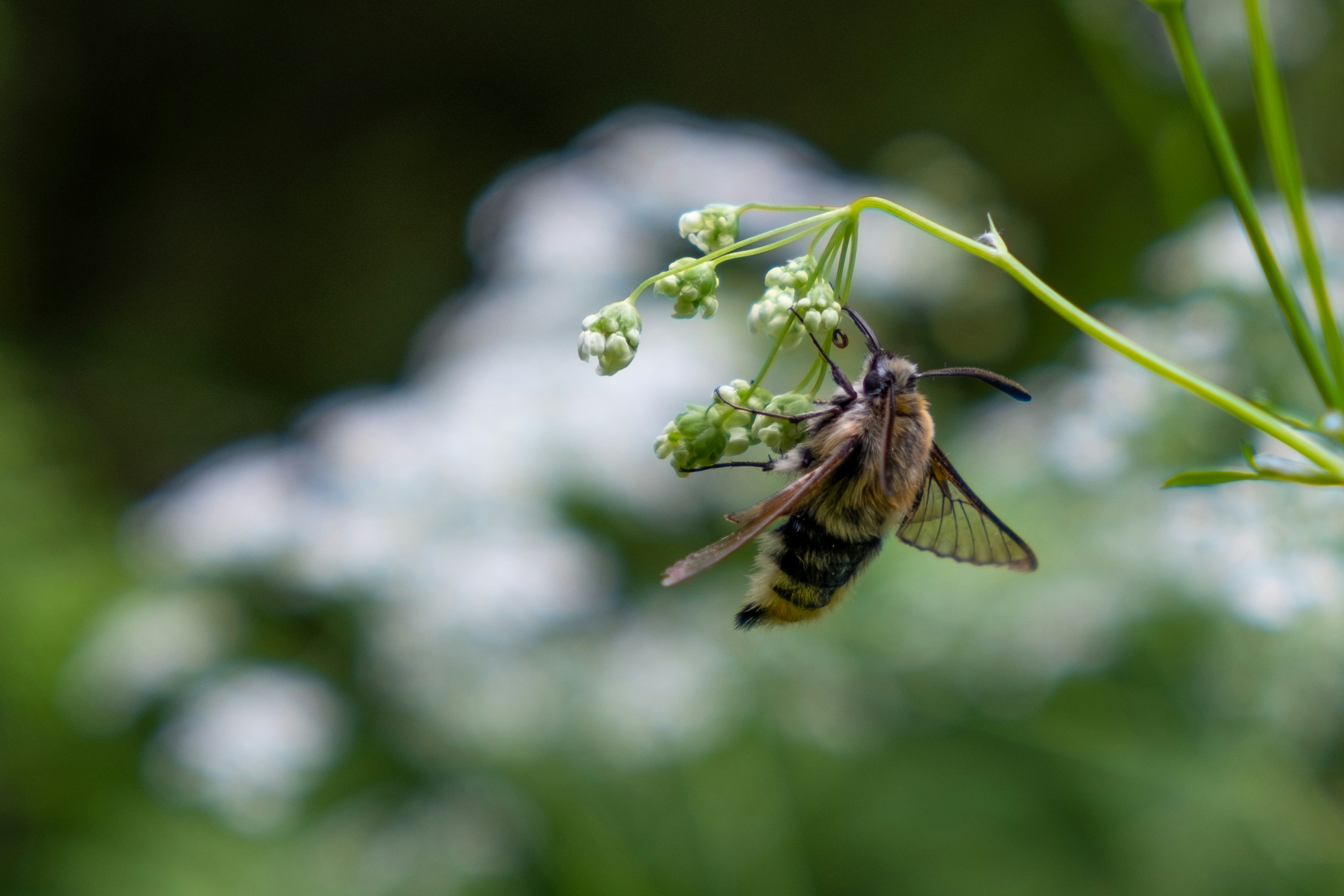 Photo by sarahmutter