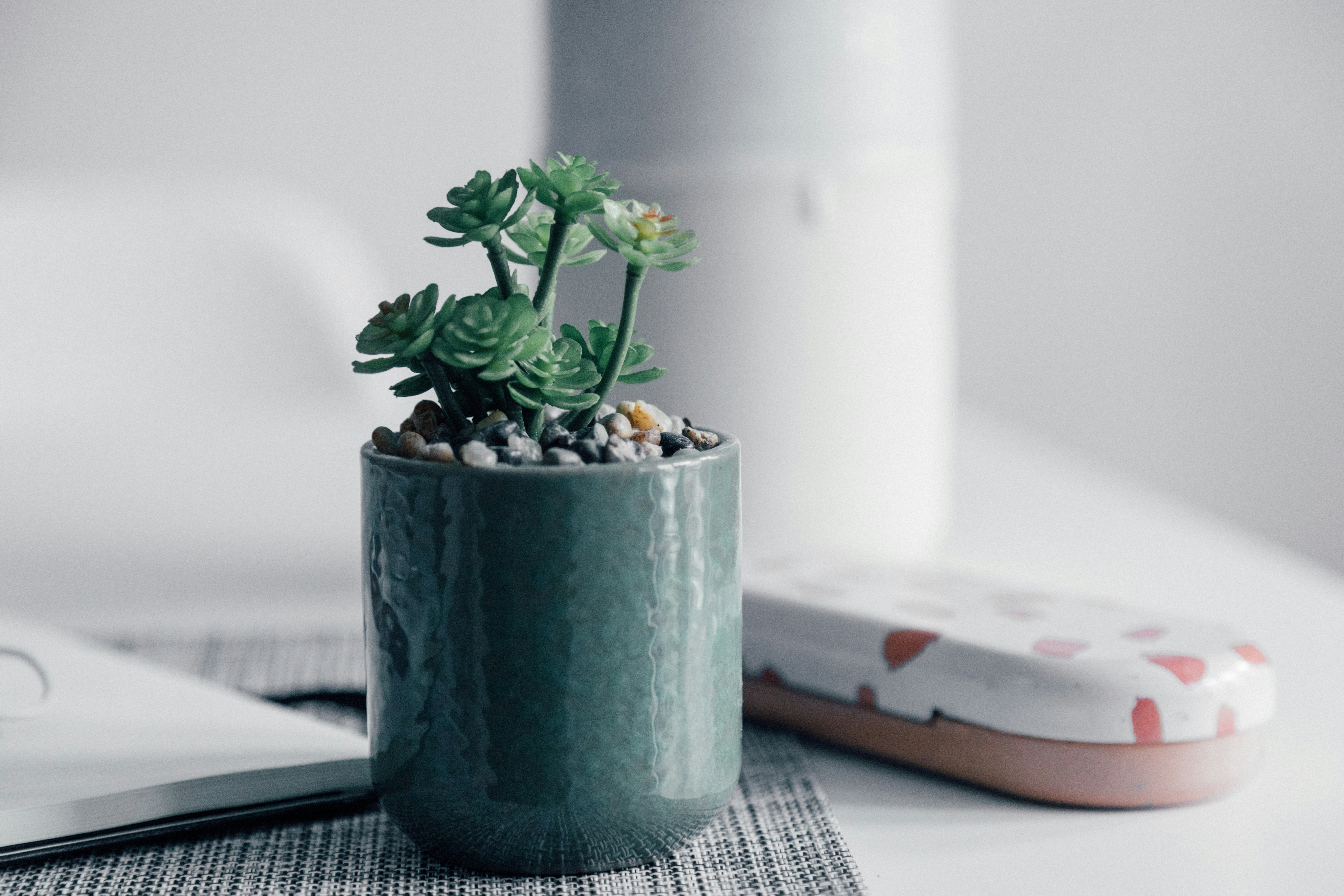 Photo by nicolasjleclercq