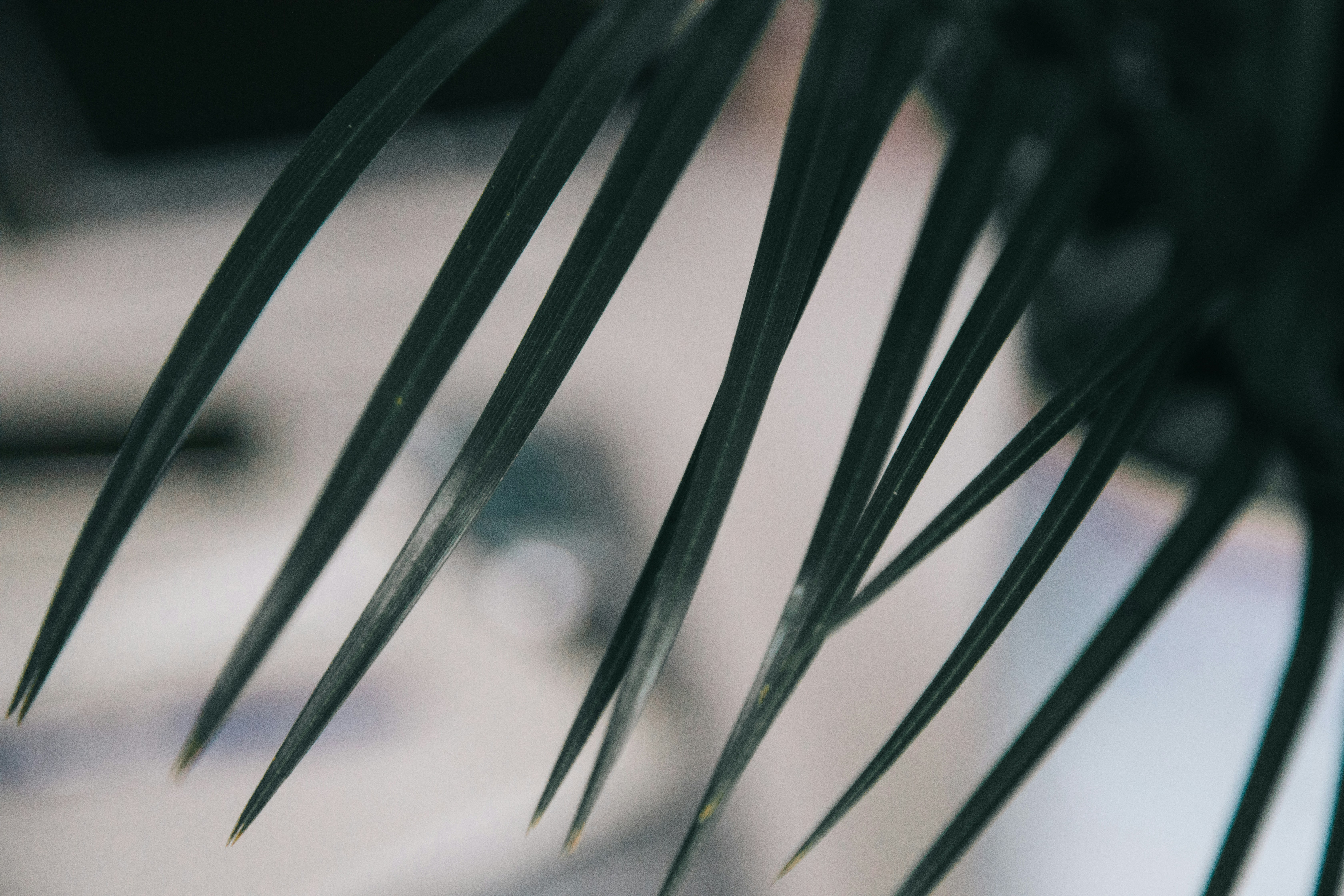 Photo by nicolasjleclercq