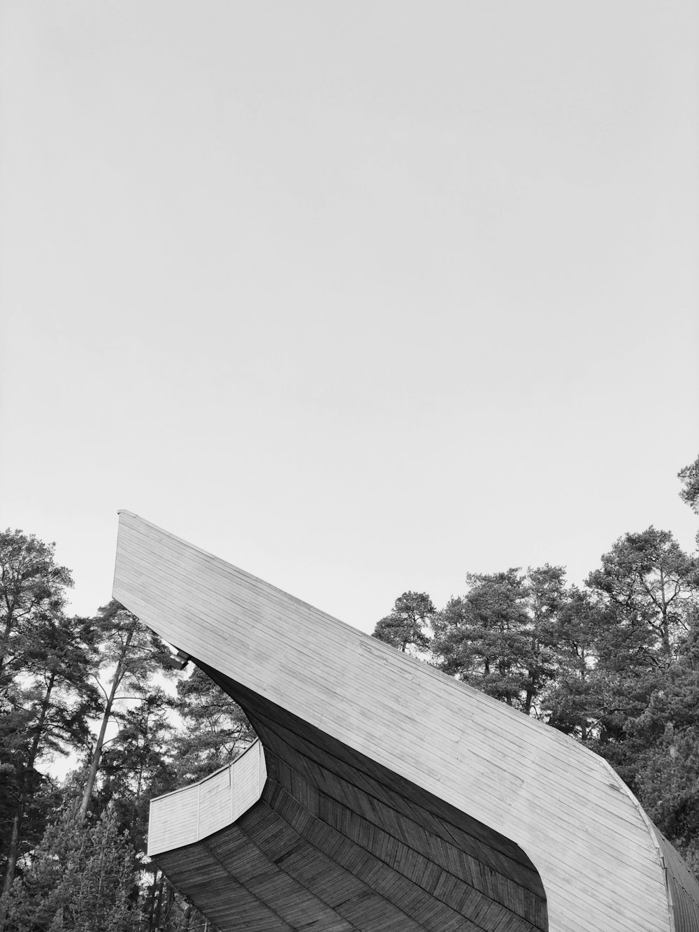 grayscale photo of tree and building