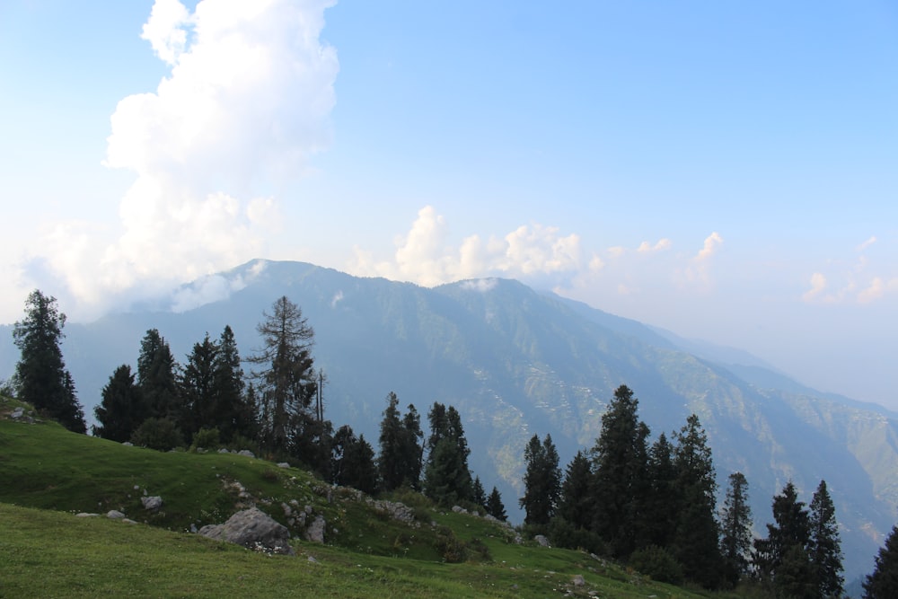 green trees on green grass field near mountain under white clouds and blue sky during daytime