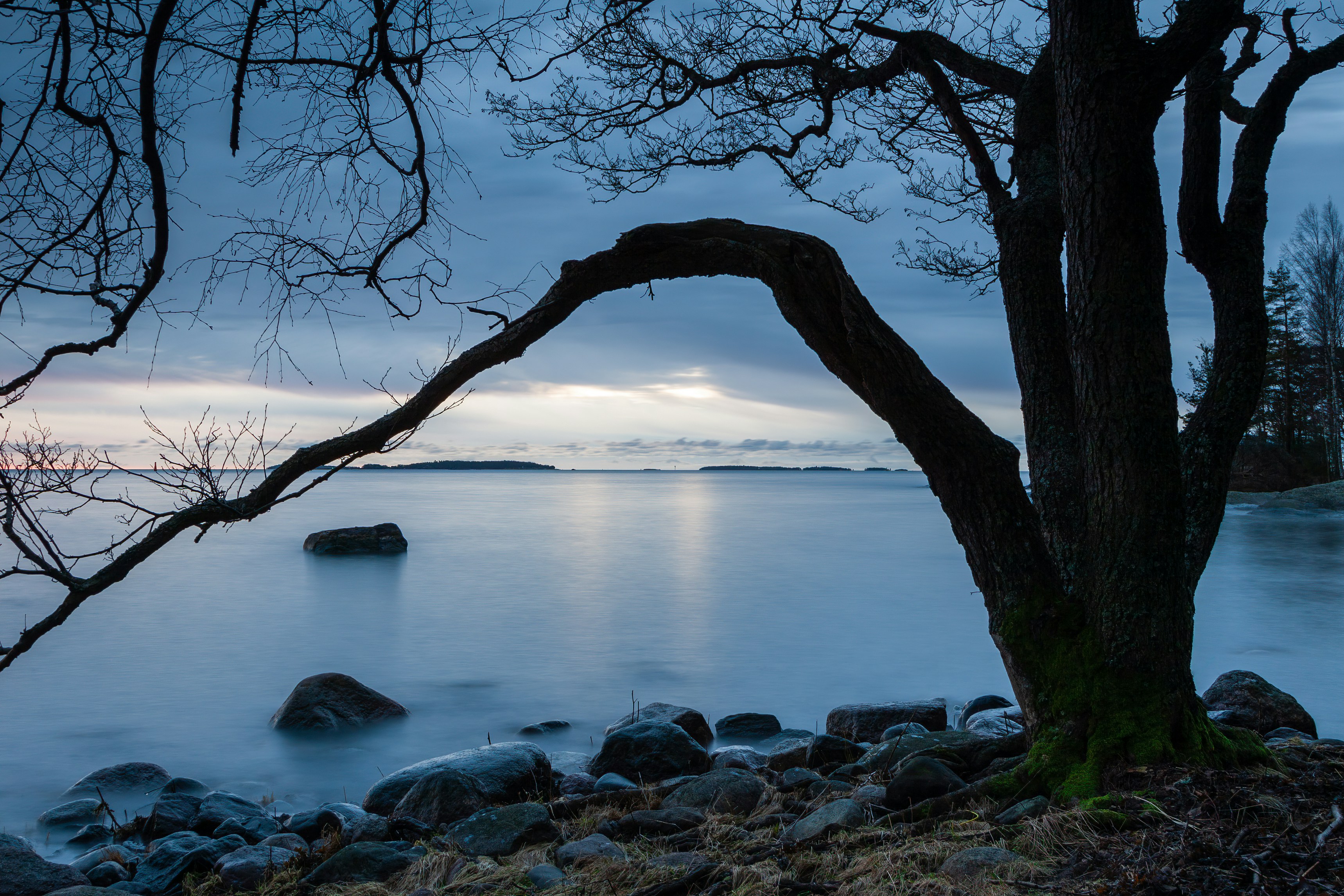 Photo by maccorzo