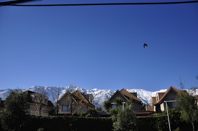 Several houses with red-tiled roofs stand in front of a backdrop of snow-capped mountains under a clear blue sky. Trees and shrubs are visible in the foreground, while a bird is captured mid-flight in the sky.