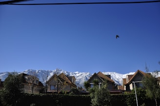 Several houses with red-tiled roofs stand in front of a backdrop of snow-capped mountains under a clear blue sky. Trees and shrubs are visible in the foreground, while a bird is captured mid-flight in the sky.