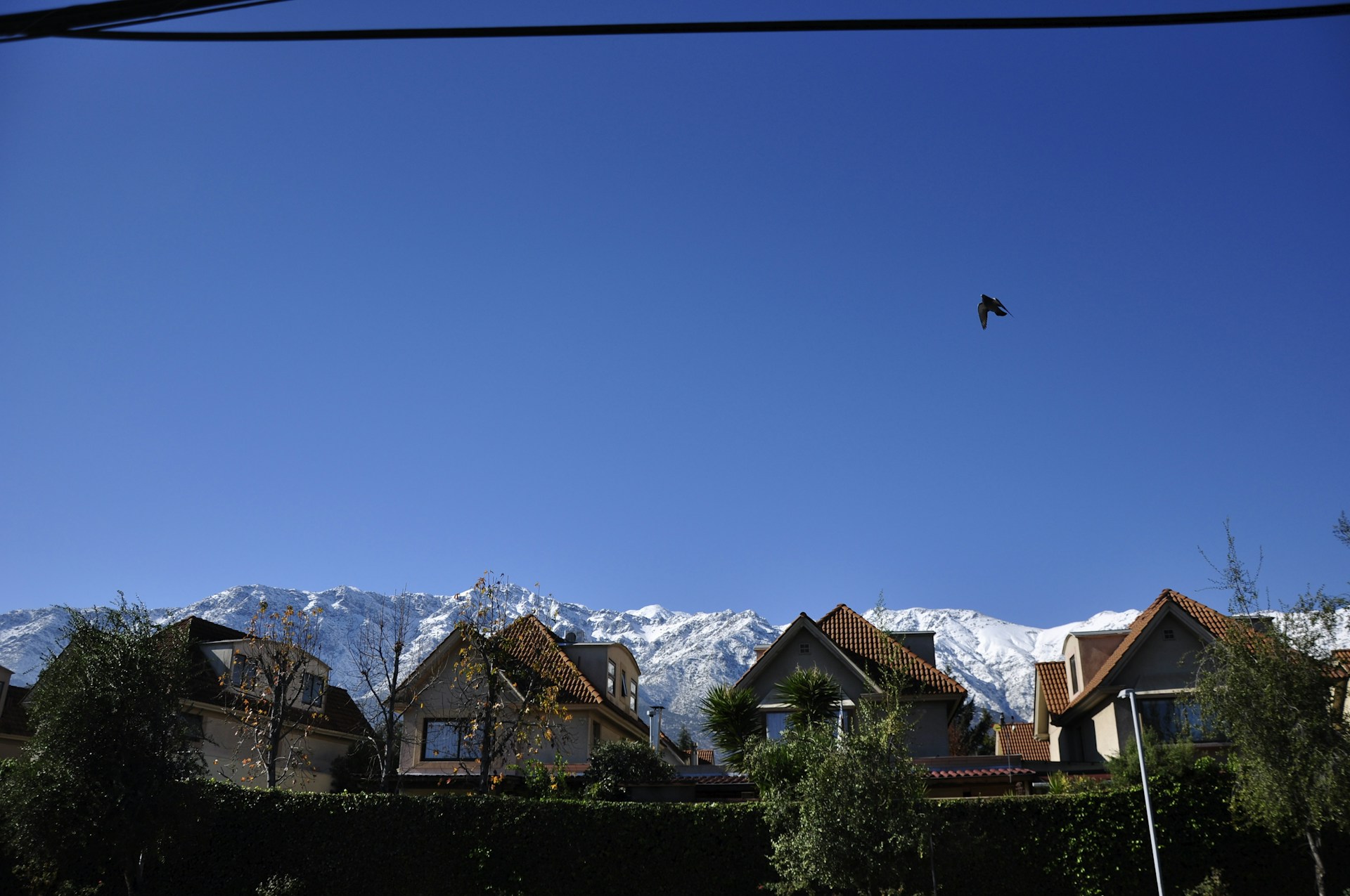 gray computer monitor