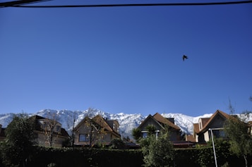 Several houses with red-tiled roofs stand in front of a backdrop of snow-capped mountains under a clear blue sky. Trees and shrubs are visible in the foreground, while a bird is captured mid-flight in the sky.