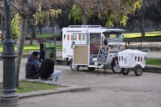 Families gathered around the s.l.i.m sanford van at a lively park event, enjoying ice cream and friendly conversations.