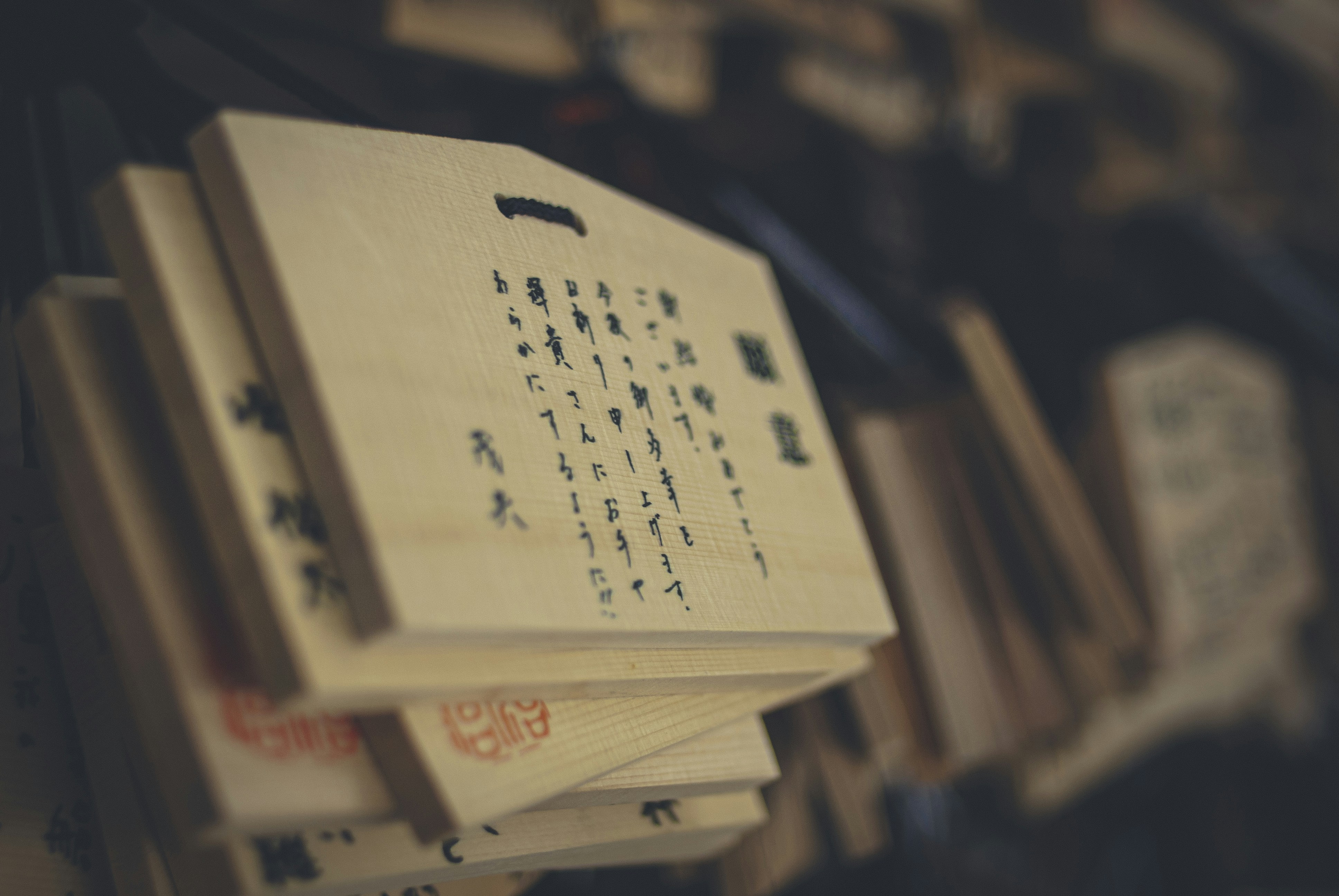 Photo by vonshnauzer