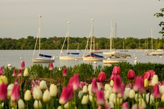 white and blue boat on sea during daytime