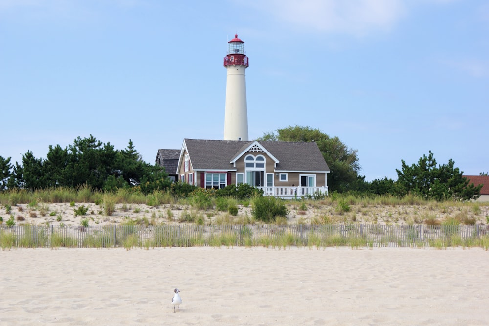 Phare blanc et rouge près d’un champ d’herbe verte sous un ciel bleu pendant la journée