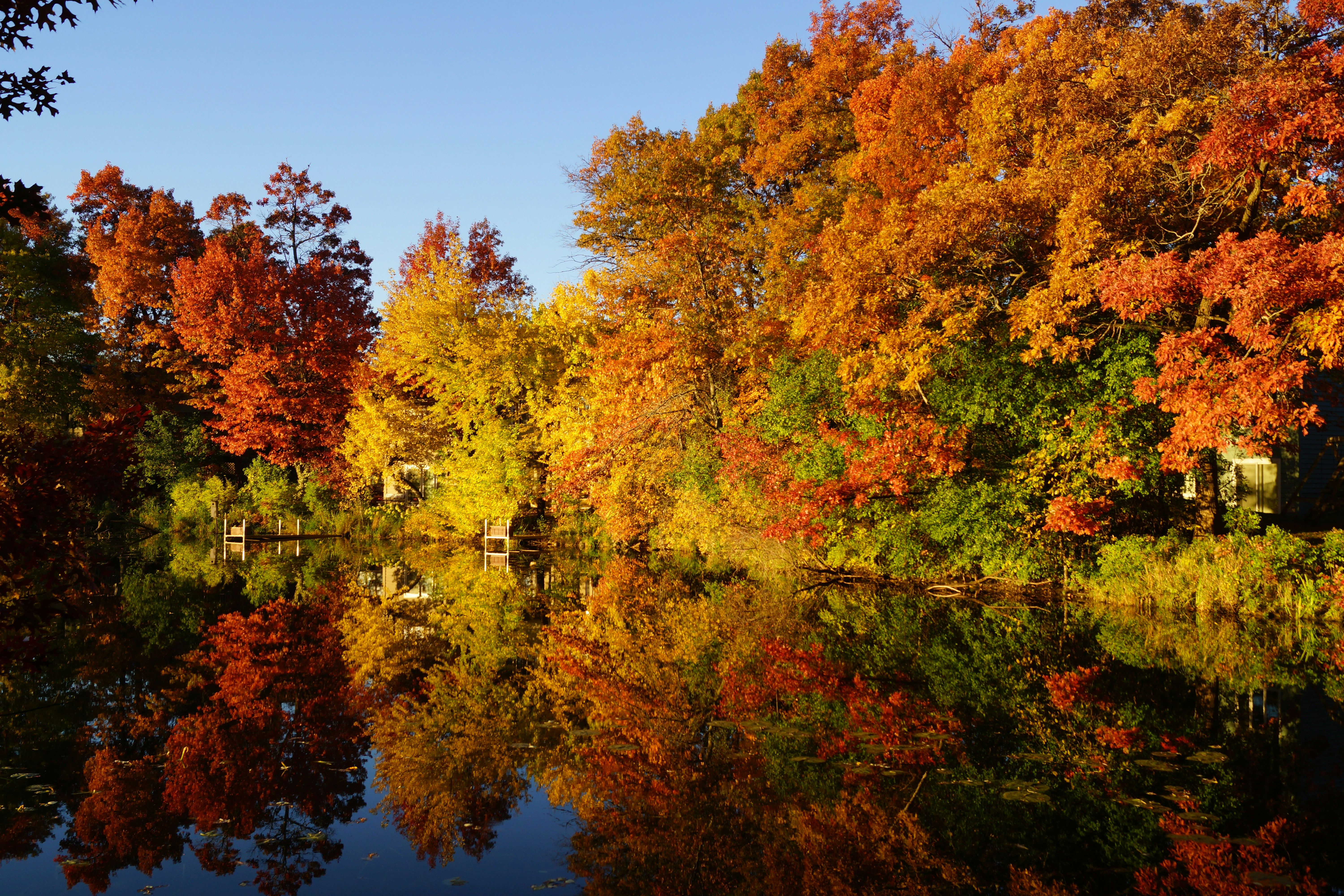 Photo by globalpalette