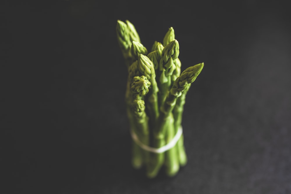 green vegetable on black textile