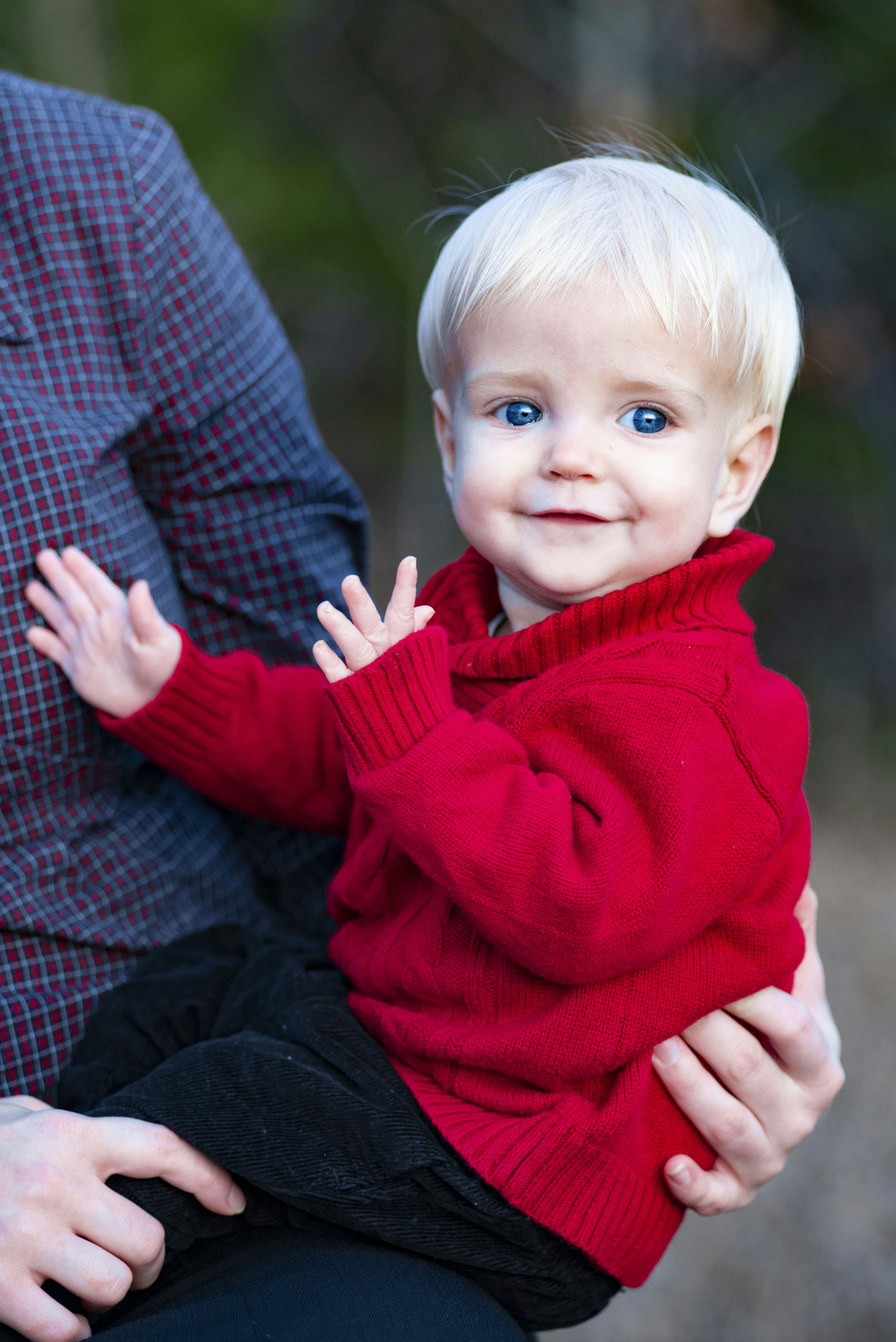 Photo by davidholifield