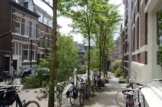 A peaceful residential neighborhood with well-maintained buildings and green spaces.