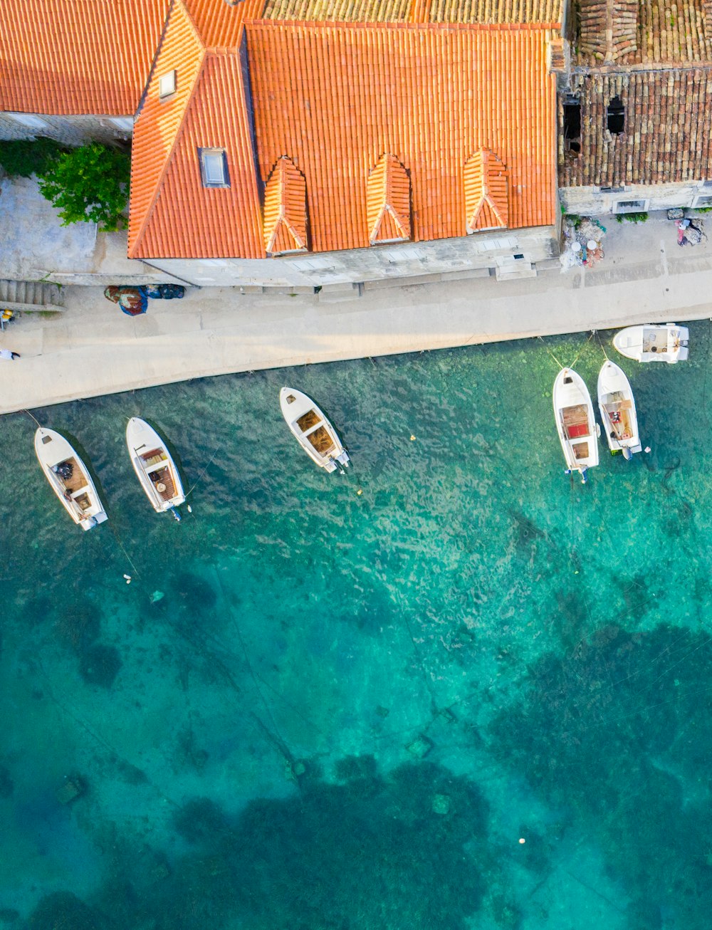 white and brown boat on water