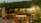 A beautifully landscaped terrace with natural wood furniture and vibrant plants under soft sunlight.