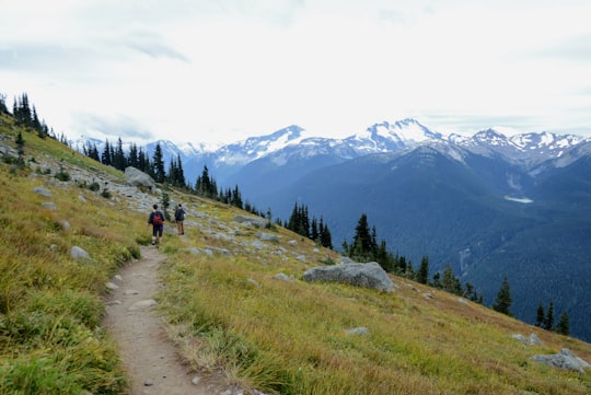 people walking on dirt road near green trees and mountains during daytime in Whistler Canada