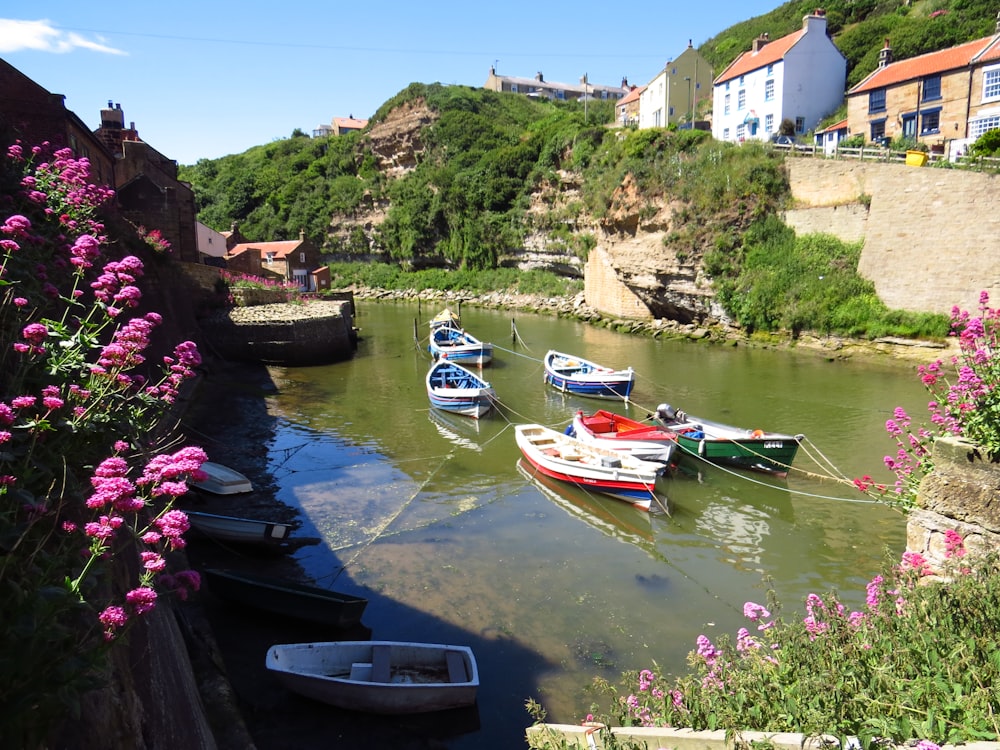 red and white boat on river during daytime