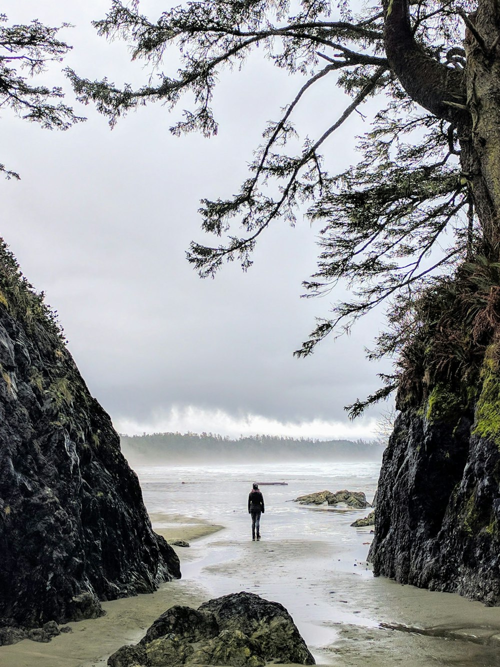 person walking on beach shore during daytime