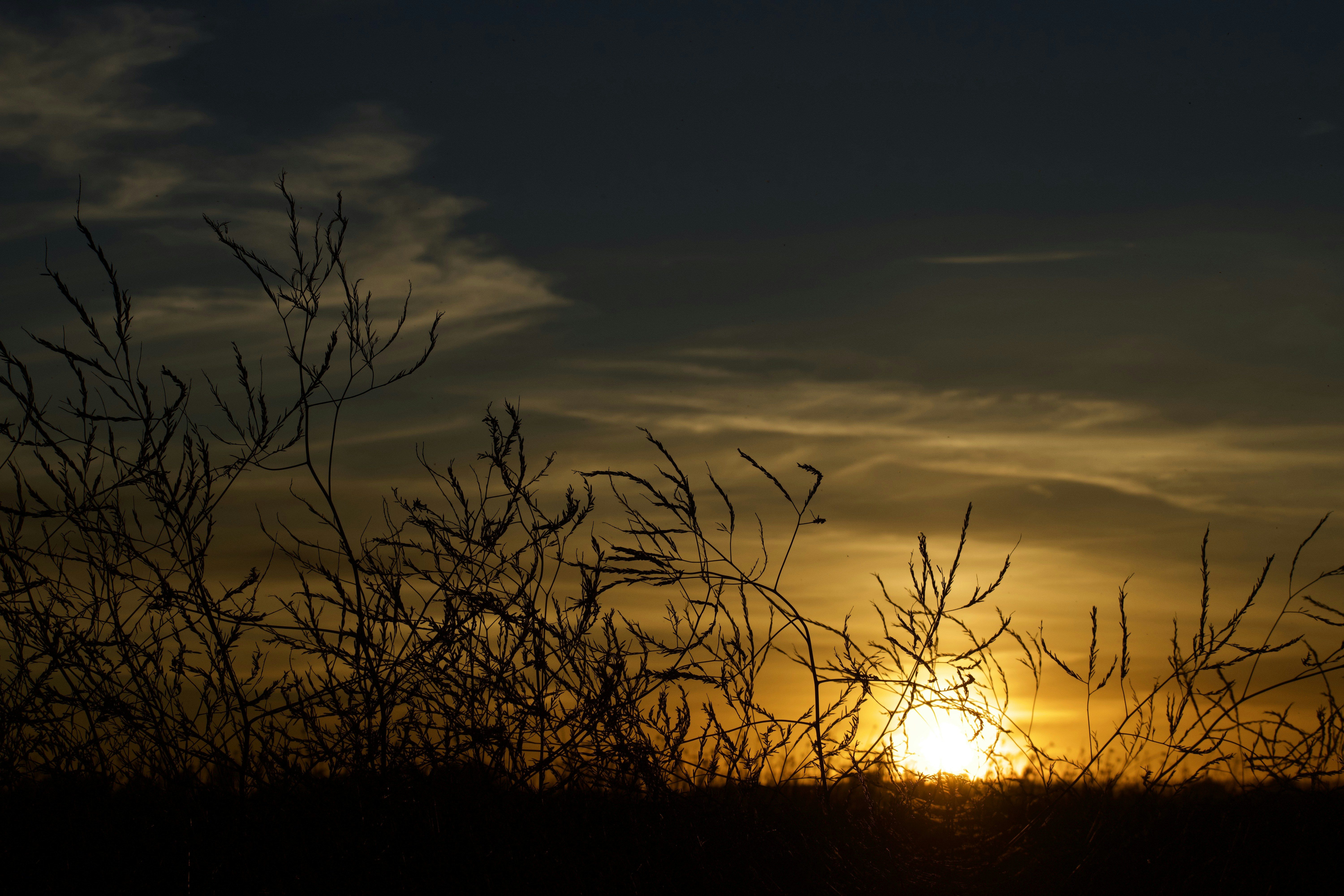 Photo by elisastonephotography