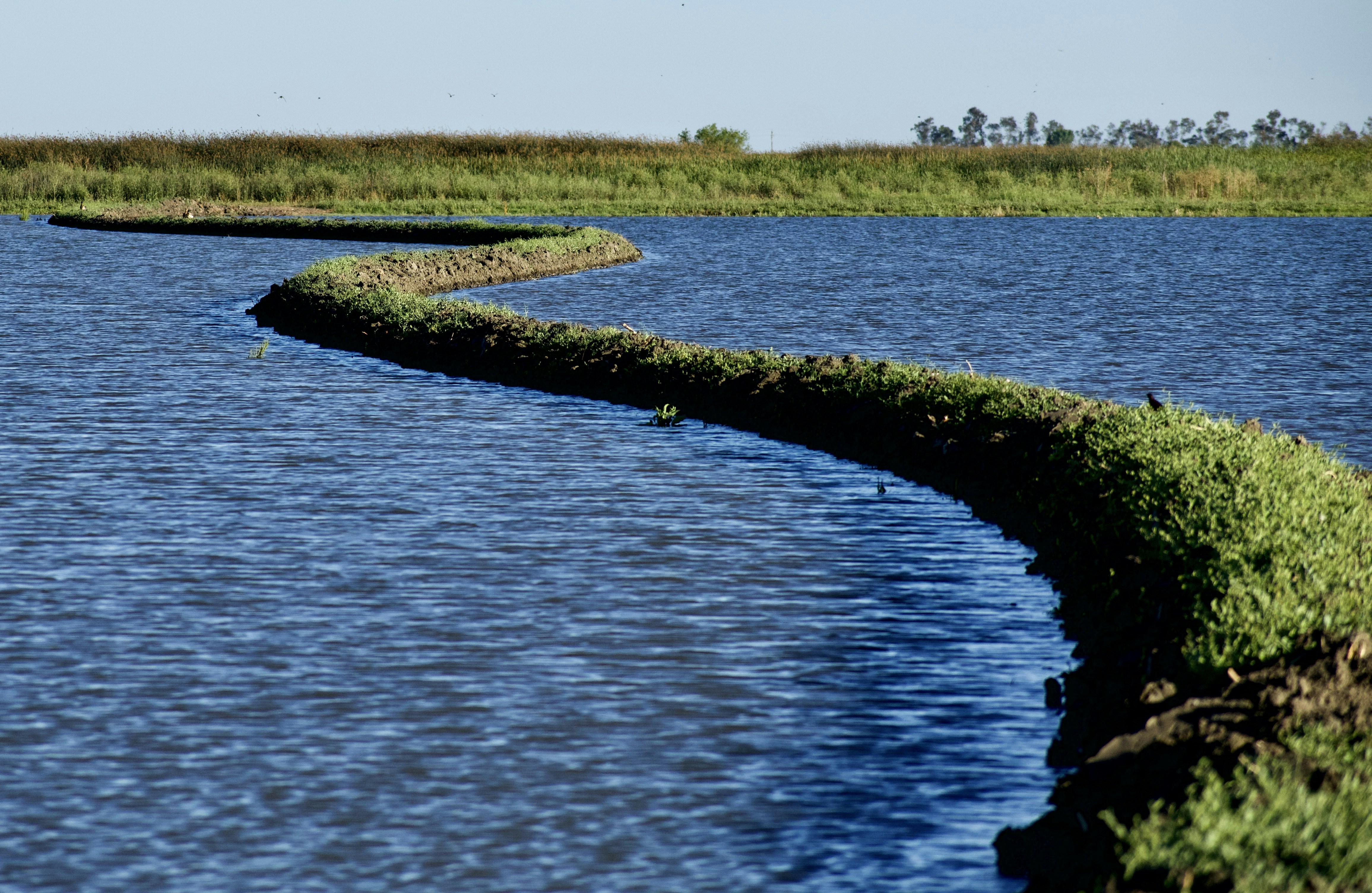 Photo by elisastonephotography