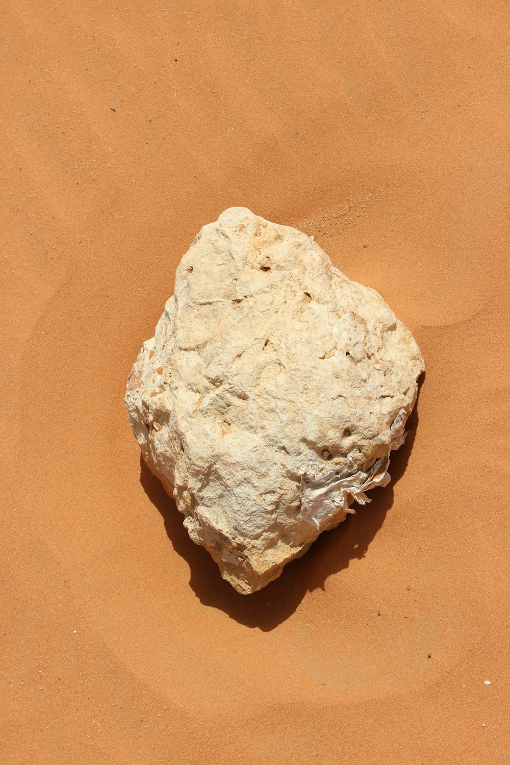 white and brown stone on brown sand