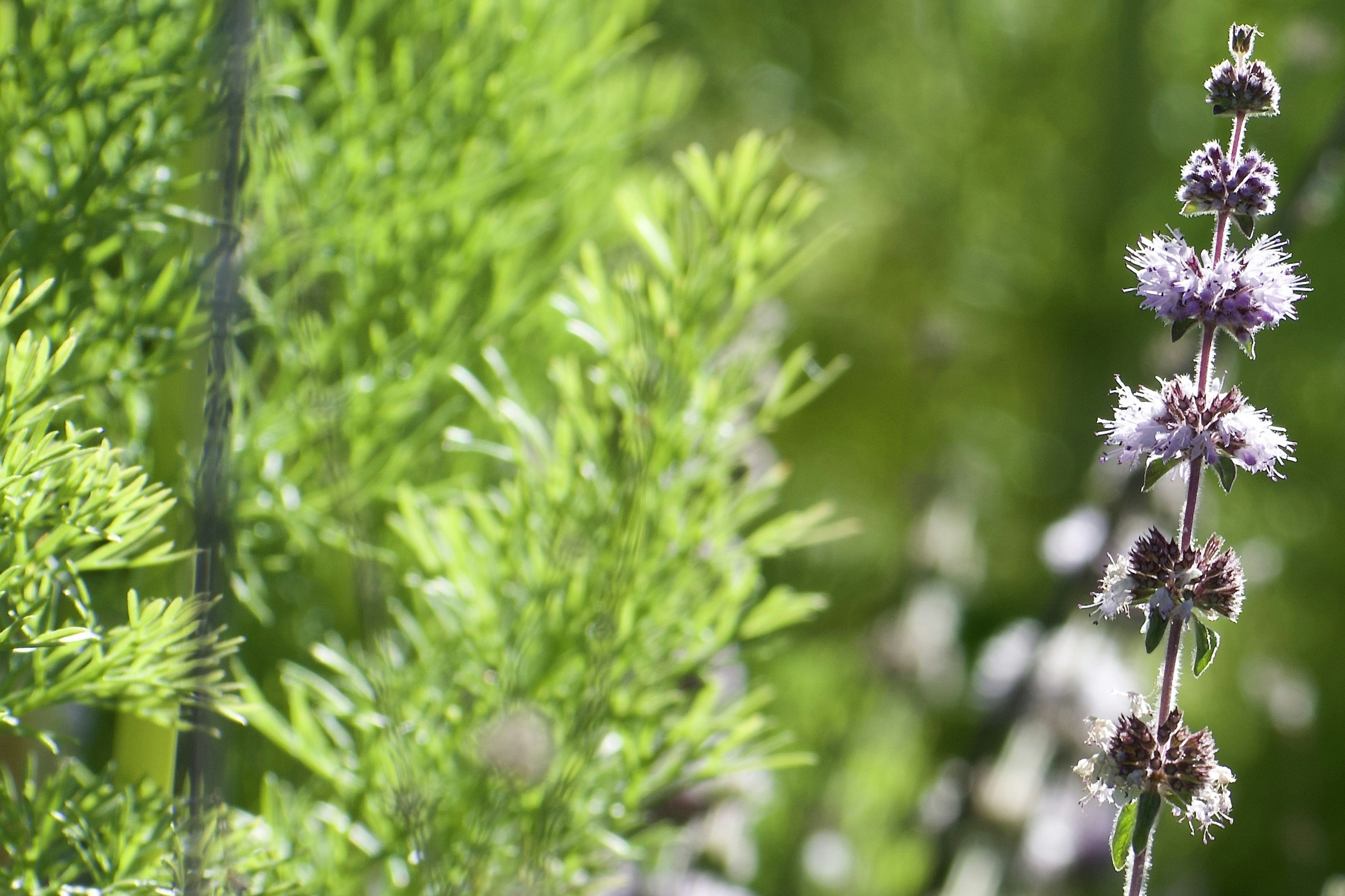 Photo by elisastonephotography