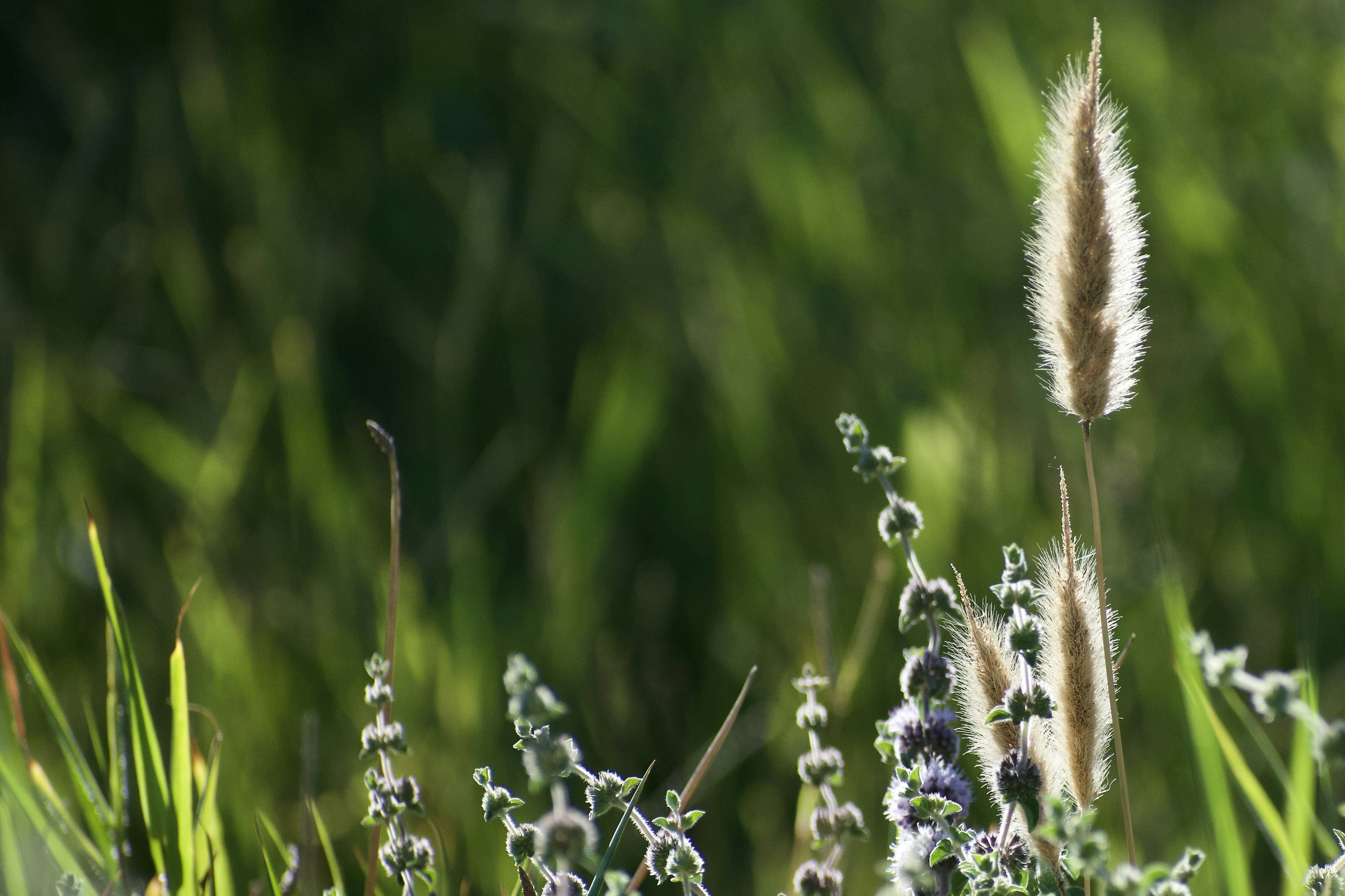 Photo by elisastonephotography