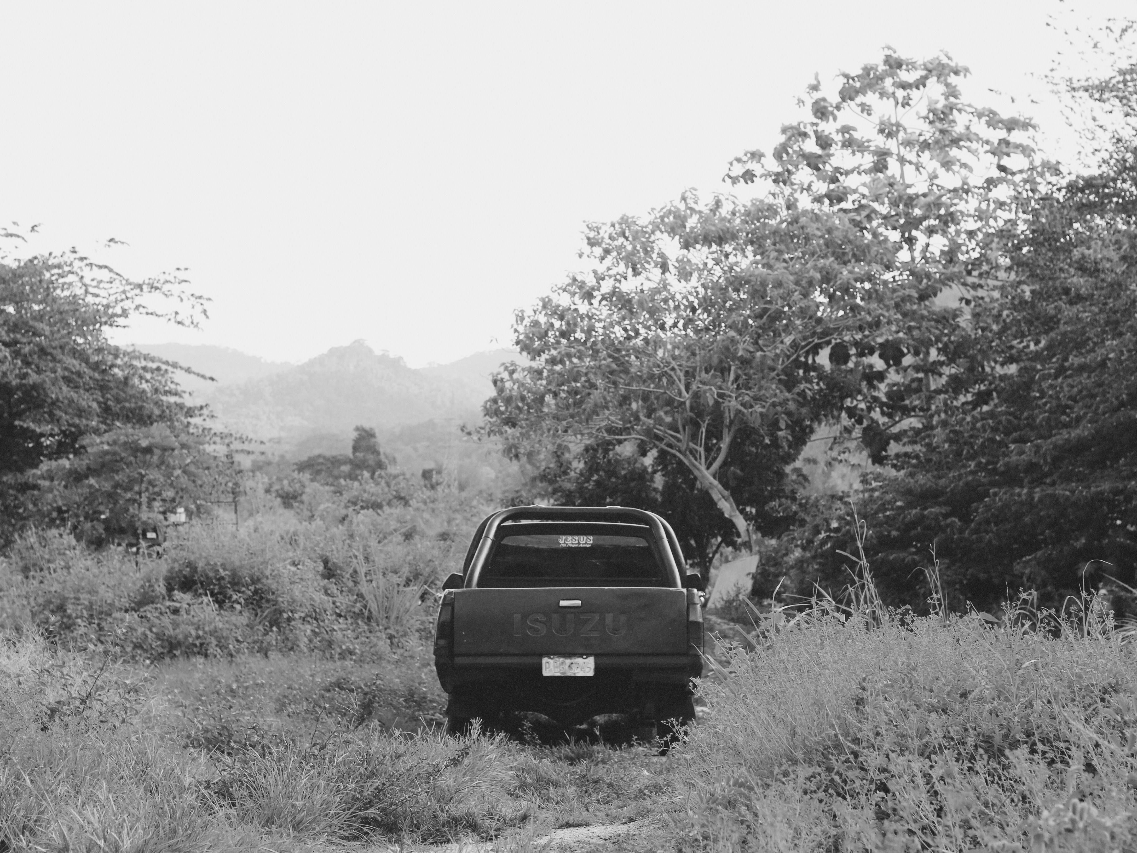 grayscale photo of car on grass field